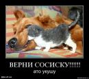 Андрій Віценко фотография #23 (источник - https://vk.com/id158242410)