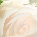 Іринка Ходинчак фотография #13 (источник - https://vk.com/id32260967)