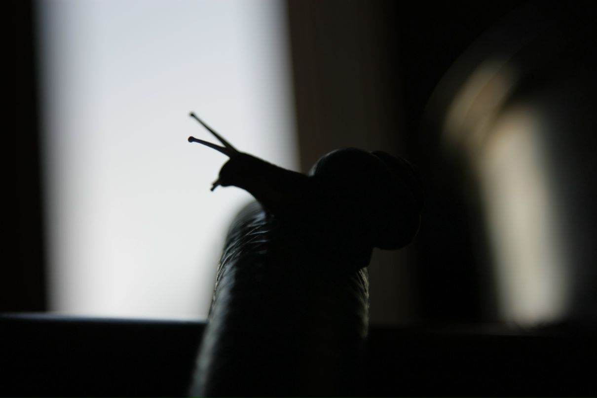 Фёдор Сумкин фотография #22