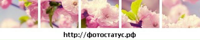 Саша Кізун фотография #13 (источник - https://vk.com/id33023355)