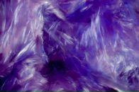 Фотография Королева Константина