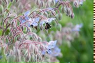 Фотография Кольцов Василий