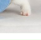 Андріана Шведа фотография #41 (источник - https://vk.com/id138941313)