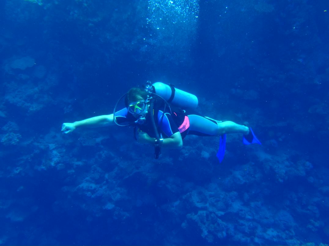 Vit Mi фотография #31