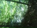 Ігор Кукуруза фотография #37 (источник - https://vk.com/id111351309)