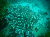 Евгений Мурышкин фотография #23 (источник - https://vk.com/id107583)