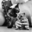 Віта Содель-Біленька фотография #33 (источник - https://vk.com/id64288037)