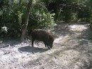 Ігор Кардаш фотография #37 (источник - https://vk.com/id145962458)
