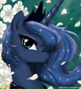 Flutter Shy фотография #25 (источник - https://vk.com/id161207668)