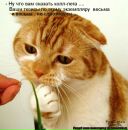 Фотография Богданова Антона