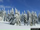 Сірожка Степанюк фотография #6 (источник - https://vk.com/id162418912)