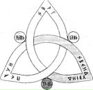 Фотография Ячиной Анастасии