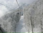 Фотография Токарева Алексея