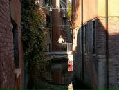 Larisa Rodriguez фотография #11 (источник - https://vk.com/id39339)