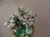 Христина Тацій фотография #9 (источник - https://vk.com/id103143355)