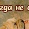 Ірина Сеник фотография #32 (источник - https://vk.com/id135695325)
