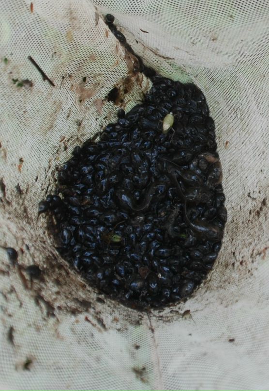 Илья Ткаленко фотография #36