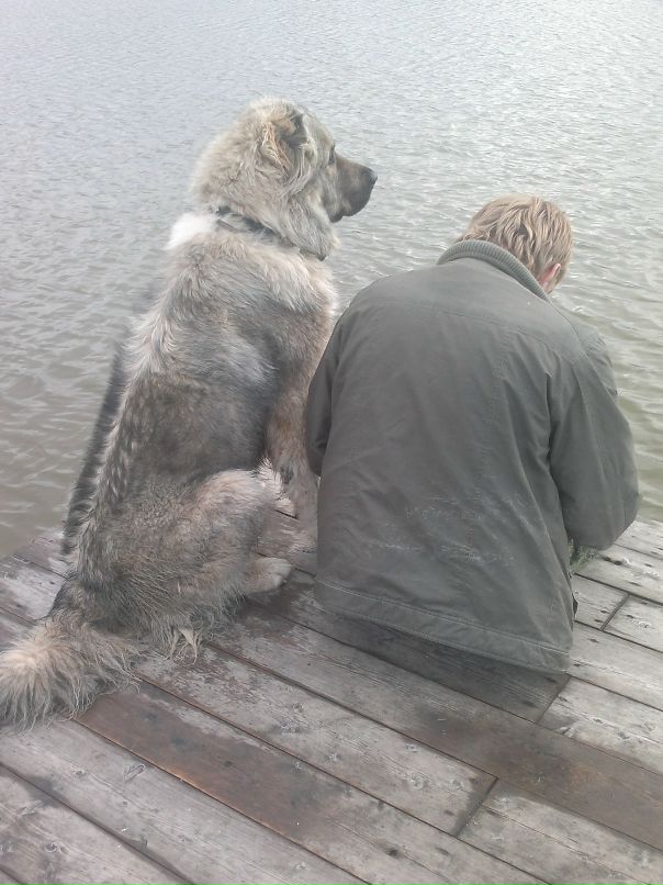 Дмитрий Ковалёв фотография #8