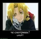 Фотография Милотина Антона