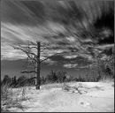 Фотография Гучевой Юли