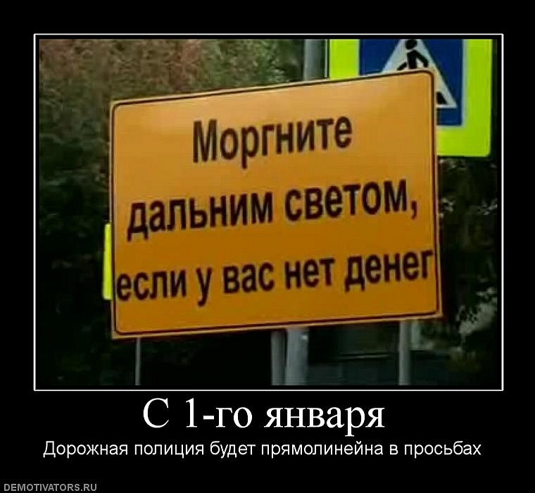 Дмитрий Васильев фотография #46