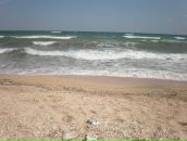 Галя Хміль фотография #49 (источник - https://vk.com/id60701737)