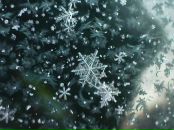 Фотография Поповой Юлии