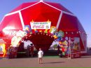 Ростік Харчевний фотография #39 (источник - https://vk.com/id89159043)
