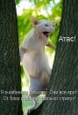 Я... ФоЛныФко=) фотография #10 (источник - https://vk.com/id58452694)