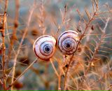 Igor Petrov фотография #15 (источник - https://vk.com/id1485050)