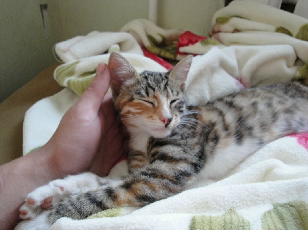 Полина Fullmoon фотография #19