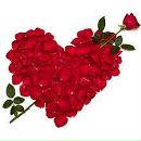 Толік Стегній фотография #42 (источник - https://vk.com/id10404638)