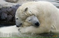 Фотография Ефремова Владислава