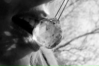 Фотография Бисиковой Катерины