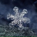 Фотография Полушин Александр