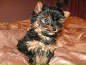 Свєтка Снігова фотография #13 (источник - https://vk.com/id81445447)