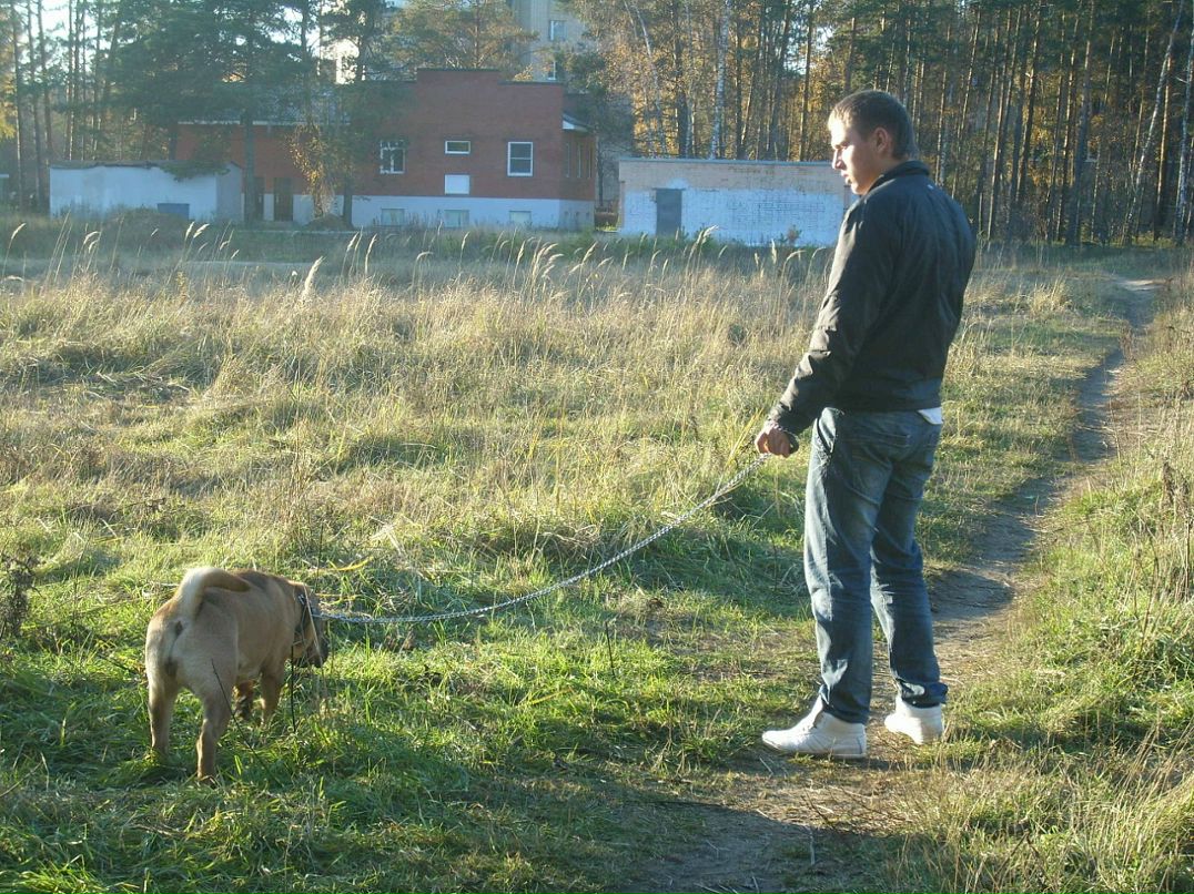 Гриша Дорощенко фотография #24