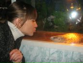 Фотография Филипповой Елены