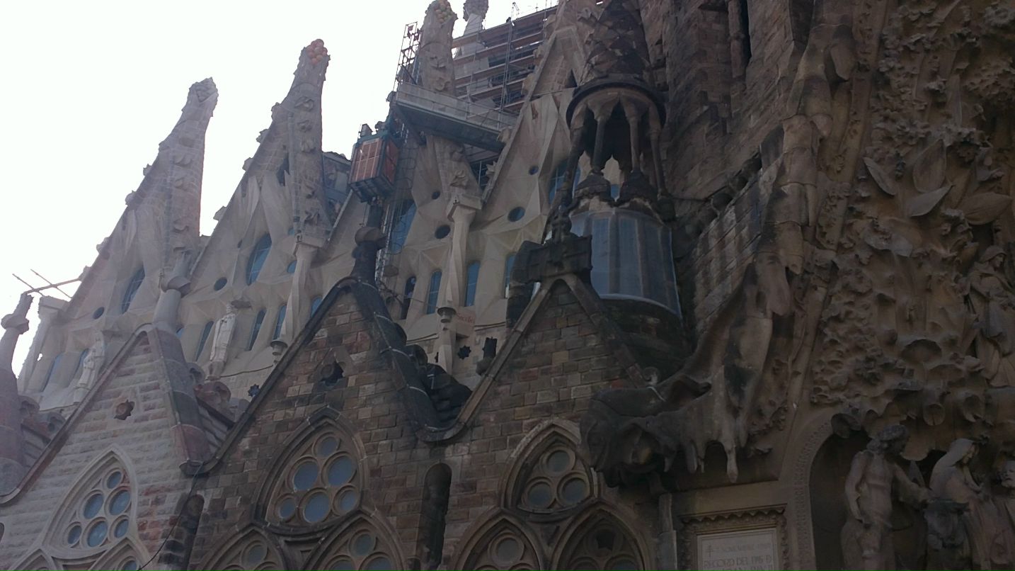 Александр П. фотография #44