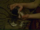 Надія Микитюк фотография #8 (источник - https://vk.com/id34254906)