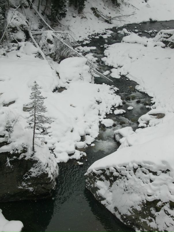 Ярослав Брик фотография #49