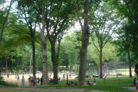 Виктор Андросов фотография #40 (источник - https://vk.com/id1914610)