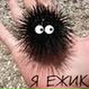 Фотография Золиной Светланы