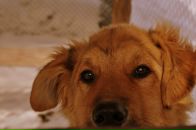 Фотография Николаенкова Евгения