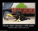 Аніка Селіна фотография #17 (источник - https://vk.com/id43182635)
