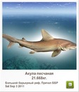Иван Бабинец фотография #32 (источник - https://vk.com/id120069385)