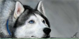 Фотография Рыкова Михаила