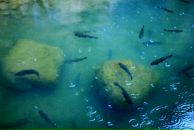 Дмитрий Серов фотография #21 (источник - https://vk.com/id41924820)