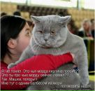 Иван Ионов фотография #32 (источник - https://vk.com/id1086838)