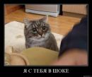 Фотография Химочкиной Оксаны